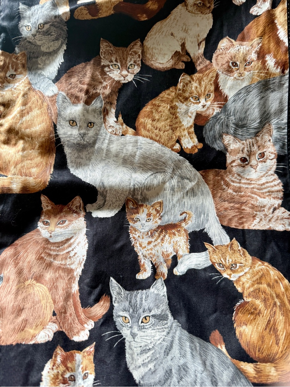 RESERVED- DO NOT BUY Vintage Viator Cat Print Garment Hanging Bag- Double Sided - Picture 10 of 13